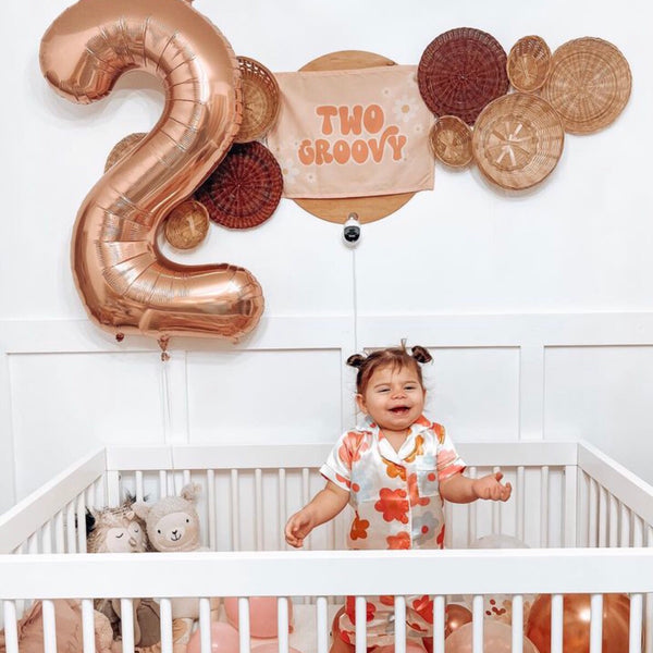 {Pink} Two Groovy Banner
