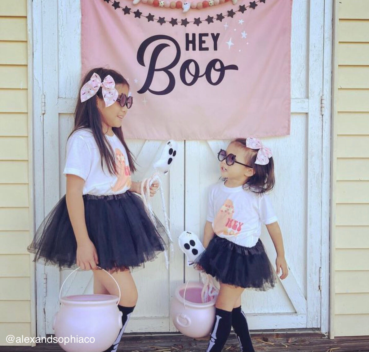 Hey Boo Banner©