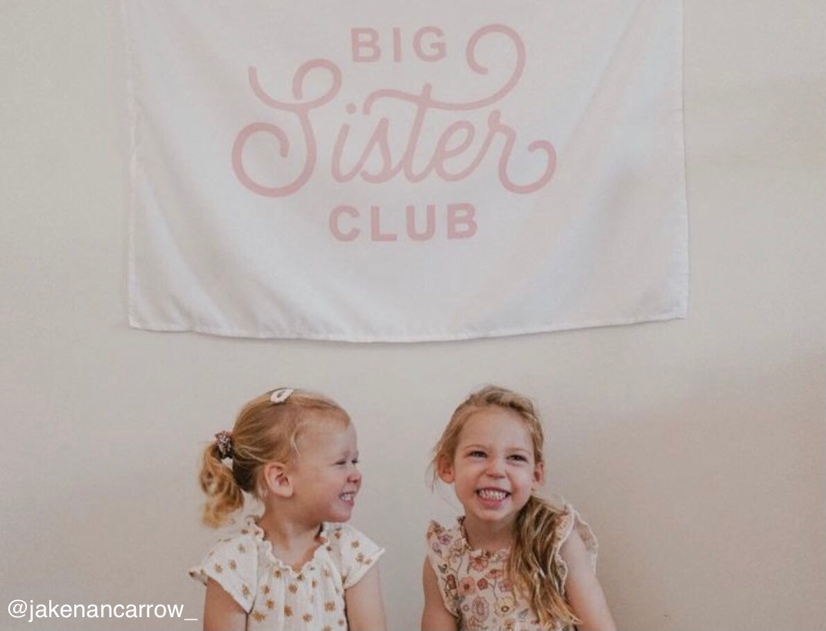 Big Sister Club Banner