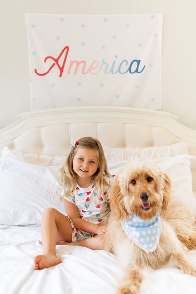 America {With Stars} Banner
