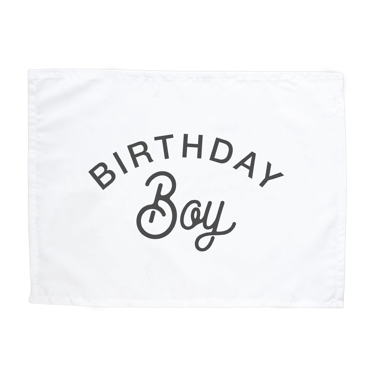 Birthday Boy Banner
