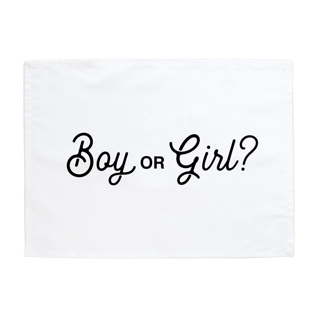 Boy or Girl? Banner
