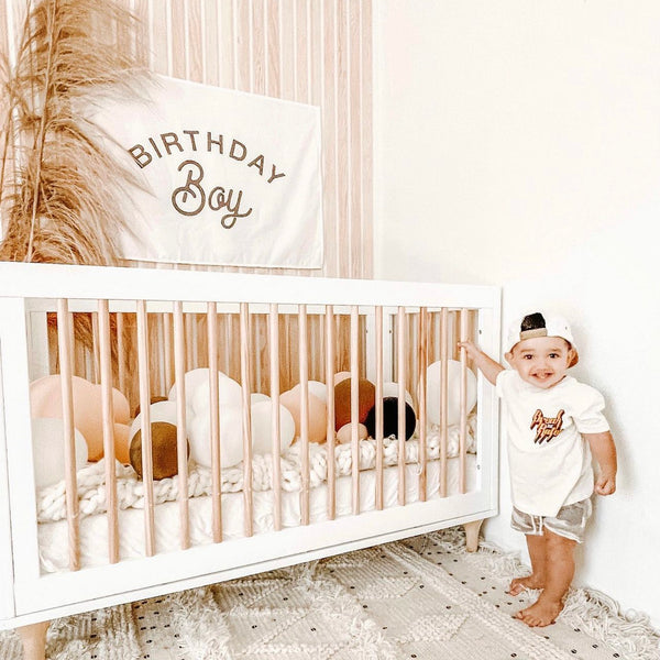 Birthday Boy Banner