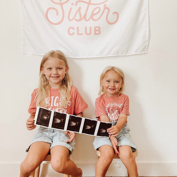 Big Sister Club Banner
