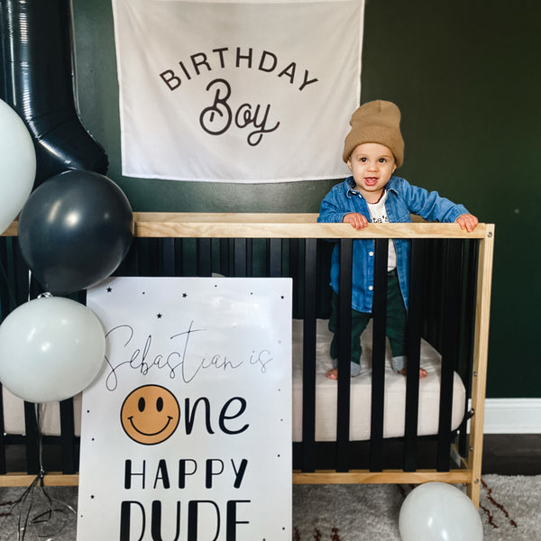 Birthday Boy Banner